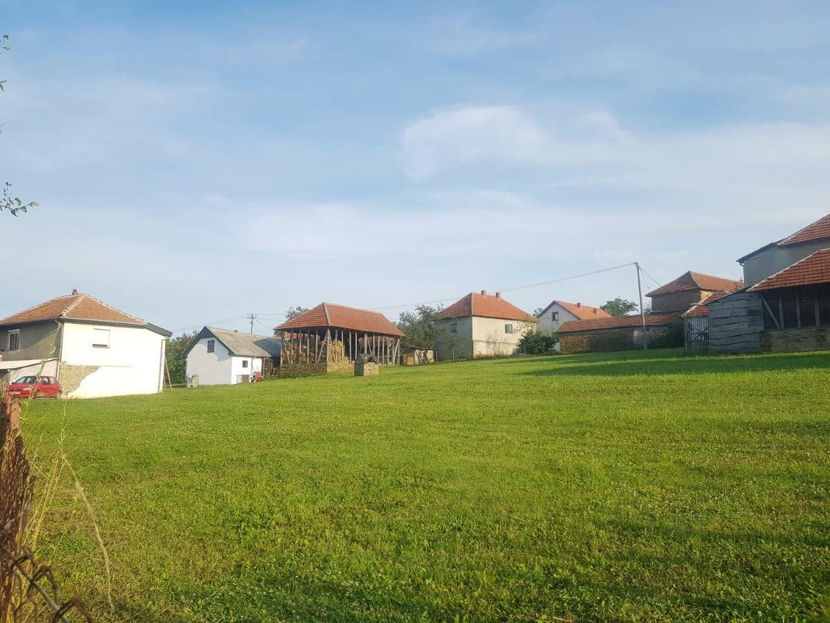 Green Apartments Kursumlija Екстериор снимка