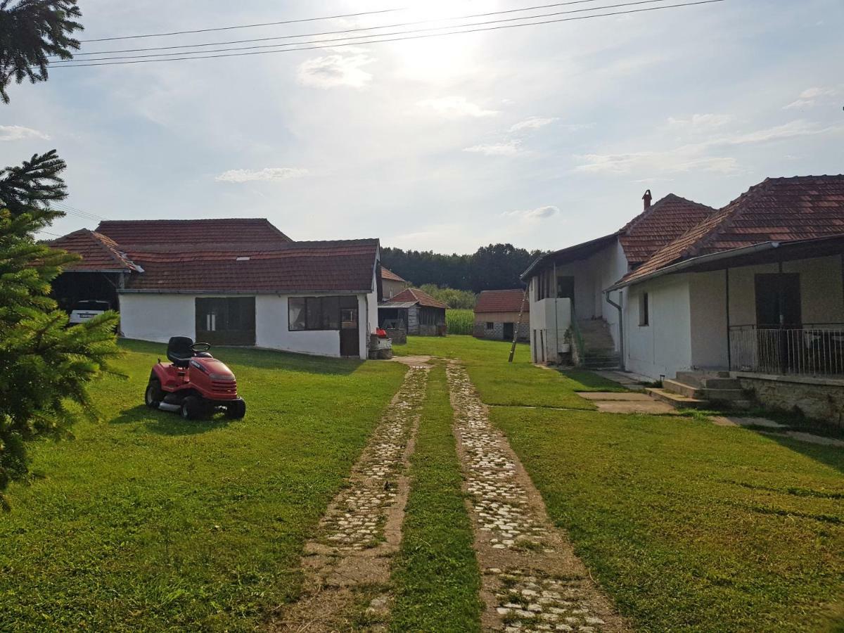 Green Apartments Kursumlija Екстериор снимка