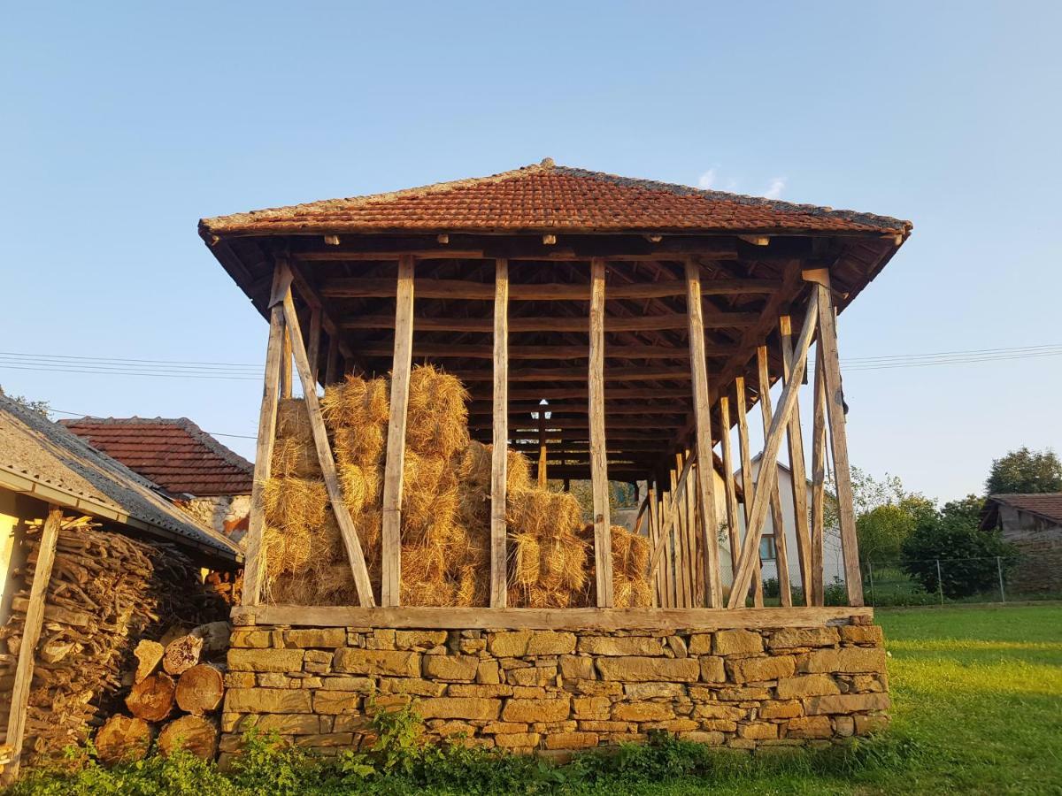 Green Apartments Kursumlija Екстериор снимка