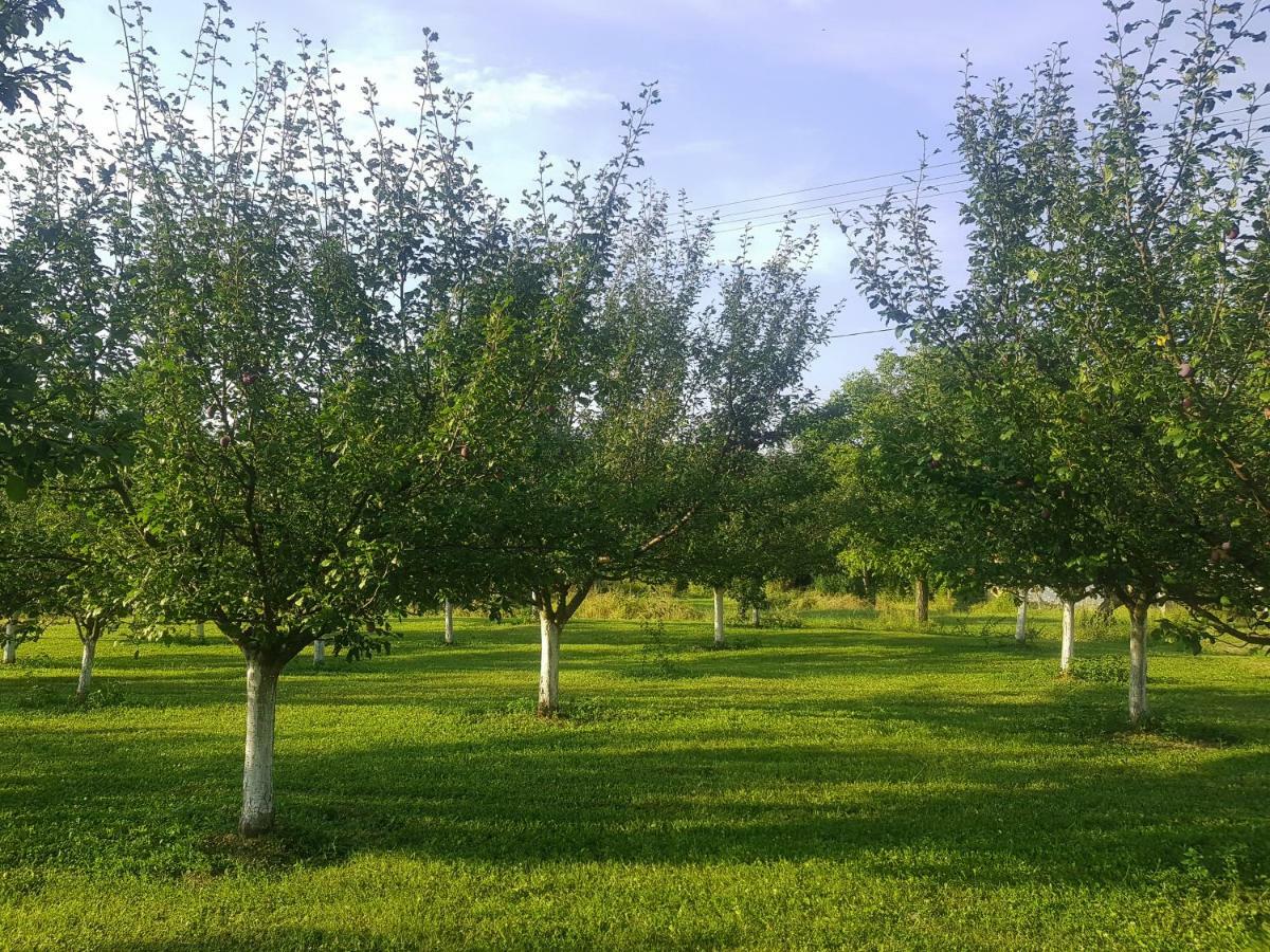 Green Apartments Kursumlija Екстериор снимка